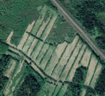 Участок 10 сот. (СНТ, ДНП)