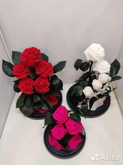 Роза в колбе/подарок