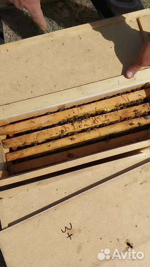 Рамки для ульев сушь