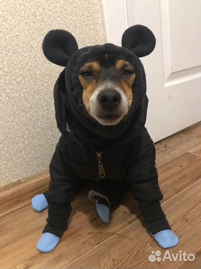 Ремонт одежды