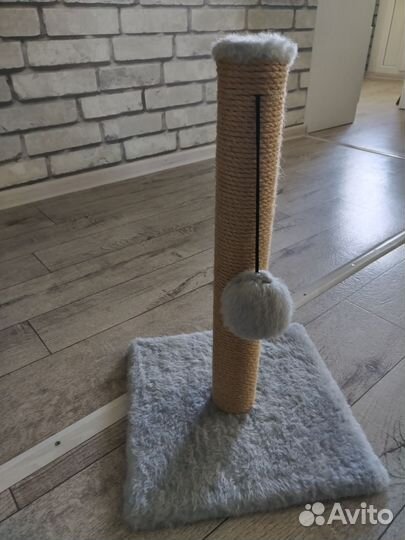 Когтеточка