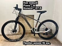 Горный Raleigh (идеал)