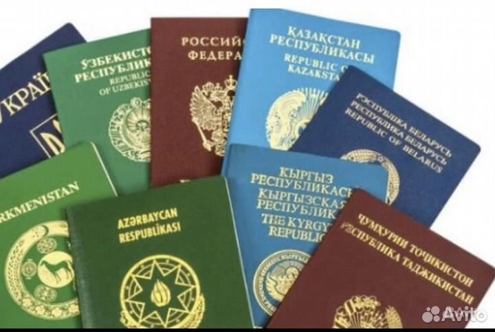 Гражданство Кыргызстана