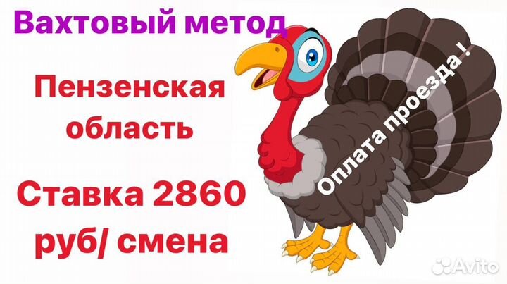 Вахта упаковщикам. Пензенская обл. Оплатим билет