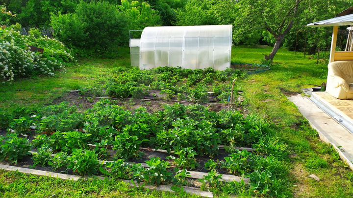 Дом 60 м² на участке 20 сот.