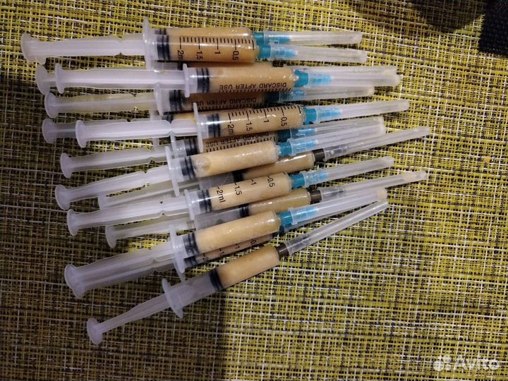 Гомогенат трутнёвый