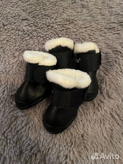 Обувь для собак