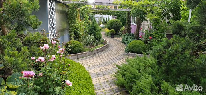 Сад, экскурсия, стрижка, саженцы