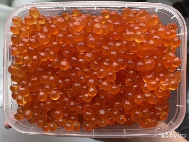 Икра горбуши