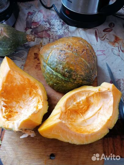 Беби зелёный Хаббард