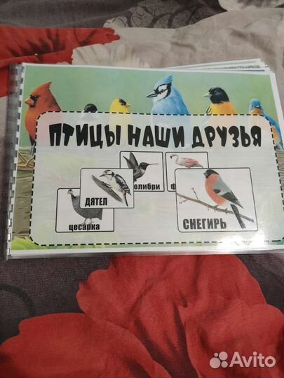 Альбом на липучках
