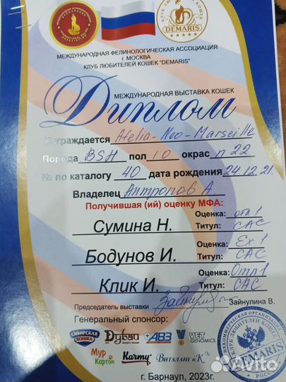 Кот на вязку
