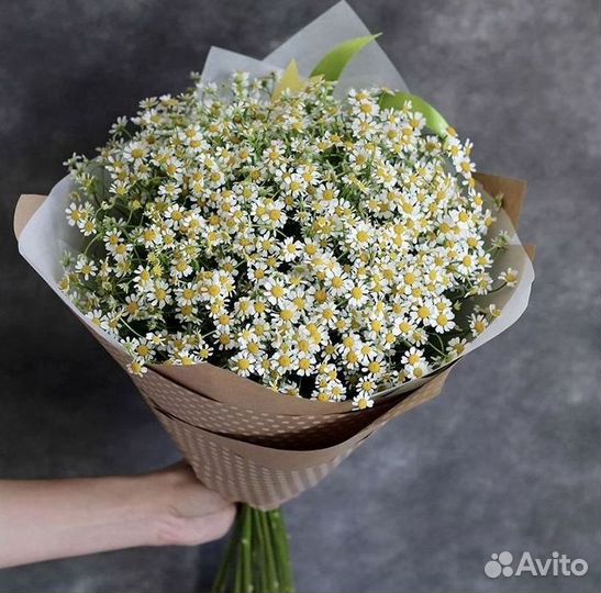 Доставка цветов. Ромашки