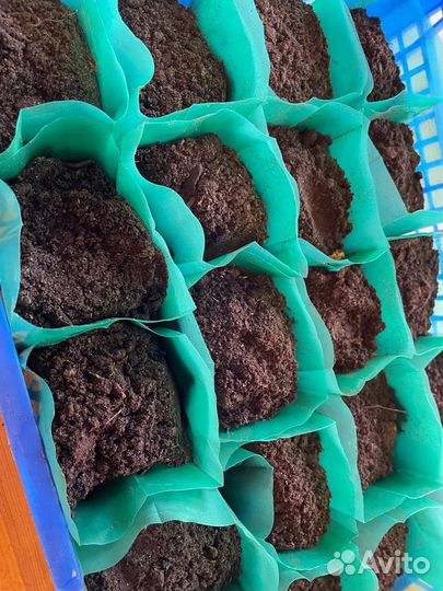 Пакеты для рассады 0,8 литра