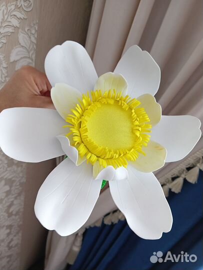 Ободок ромашка, нарцисс