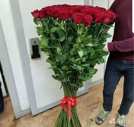 Метровые розы Эквадор / Букеты цветы с доставкой