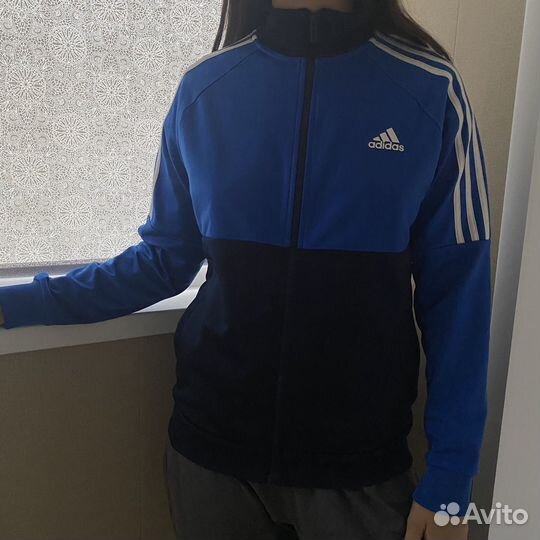 Мужская олимпийка adidas