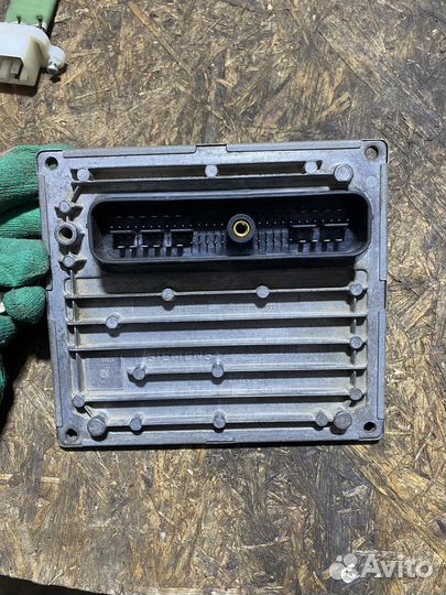 Мозги ford focus 2 1.6 100 л.с