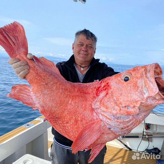 Морская рыбалка,экскурсии