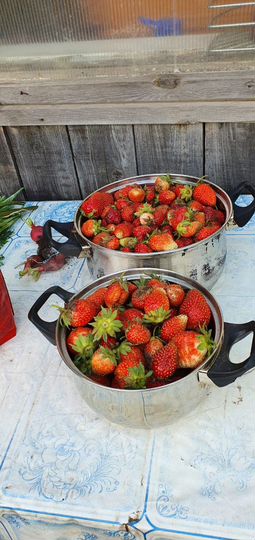 Дача 40 м² на участке 6,5 сот.