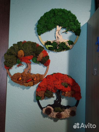 Панно со стабилизированным мхом