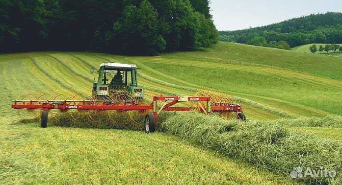 Разнотравие семена