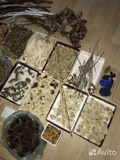 Сухоцветы пакетом