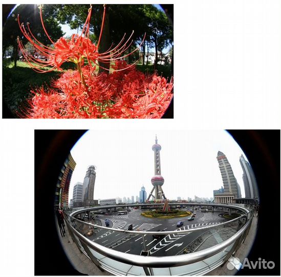 Fish-Eye 8mm f3.8(Olympus-Panasonic) Бленда+крышки