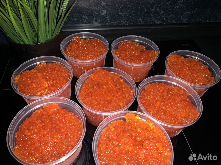 Красная икра 2023