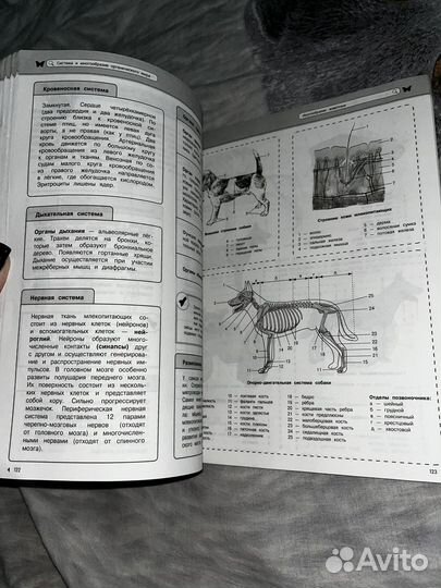 Справочники ЕГЭ Химия/Биология
