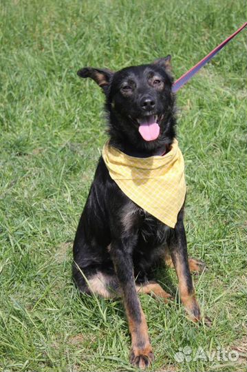 Трепетный и ласковый малыш Виктор ждет в клетке