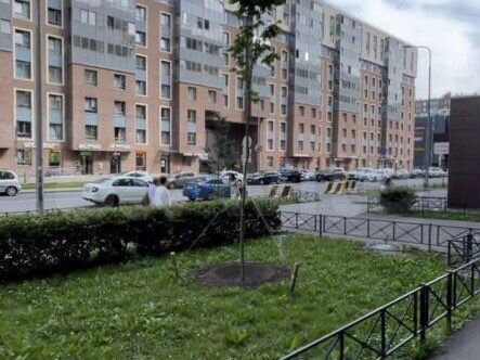 Торговая площадь, 68 м²