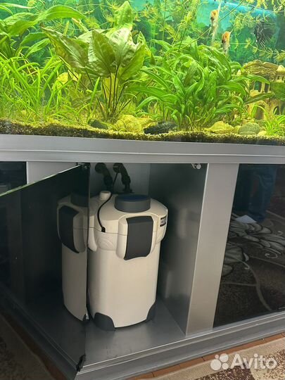 Аквариум
