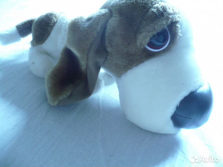 Щенки the DOG 3+