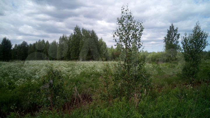 Участок 7,49 га (СНТ, ДНП)