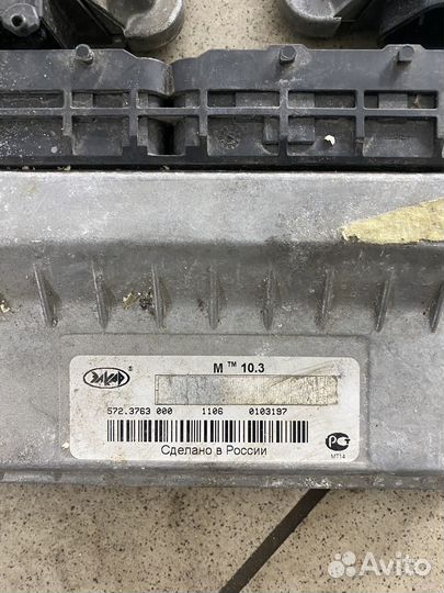 Эбу мозги Чери