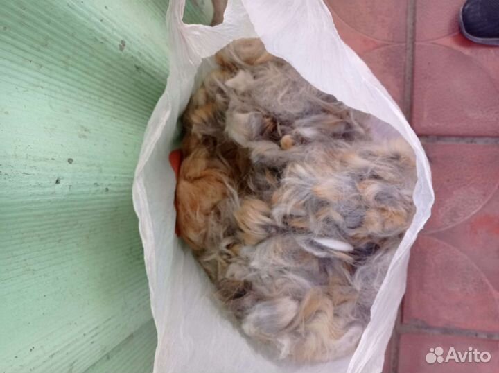 Собачья шерсть пух
