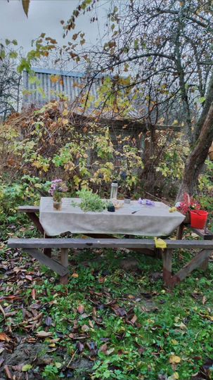 Участок 7,8 сот. (СНТ, ДНП)