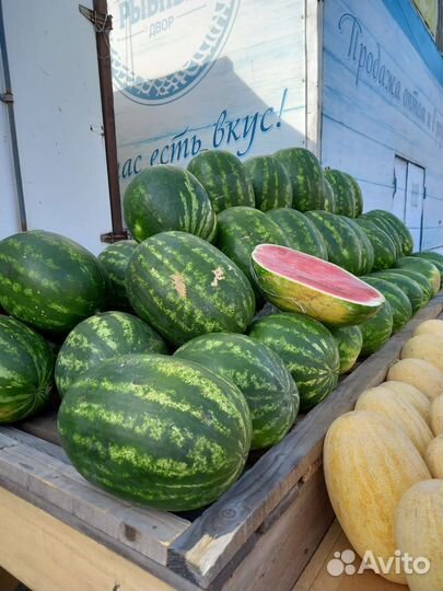Арбузы Дагестан