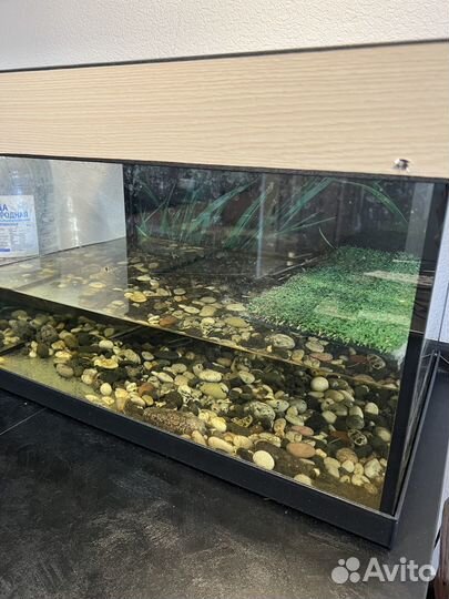 Продам террариум для красноухих черепах