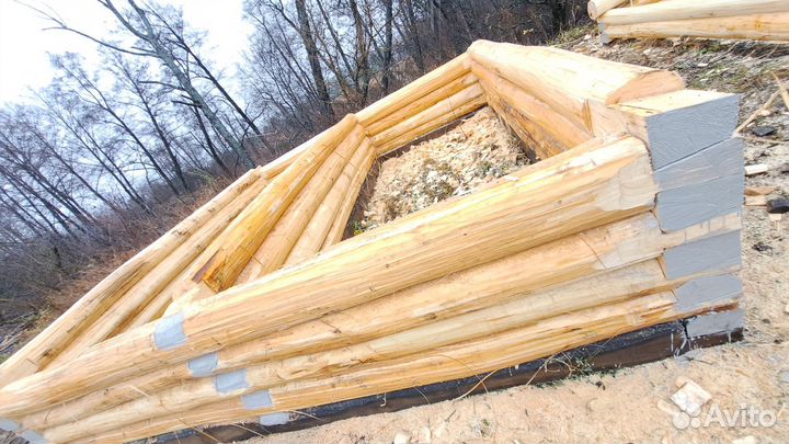 Сруб липовый