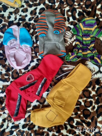 Одежда для собак мелких пород