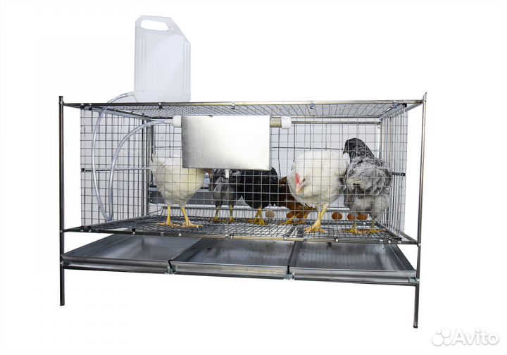 Клетки для кур из сетки