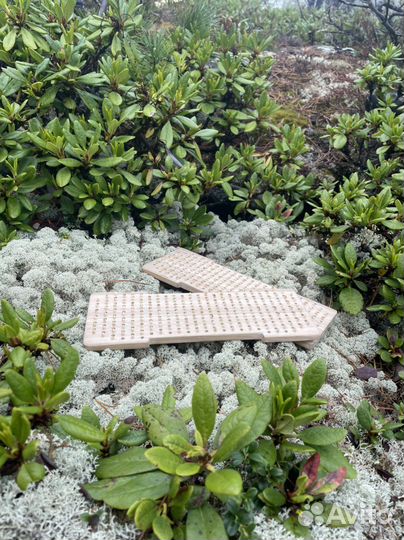 Доска садху с бамбуковыми гвоздями