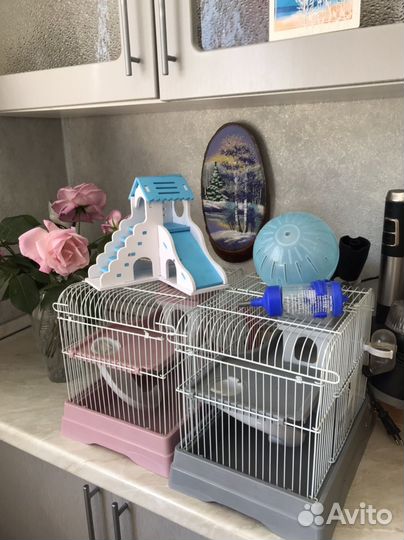 Клетки для хомячков