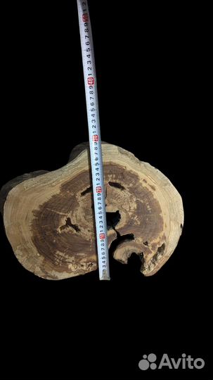 Спил абрикоса для заливки