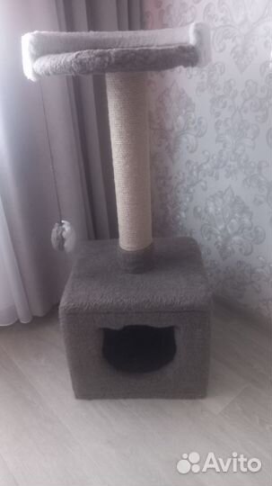 Когтеточка