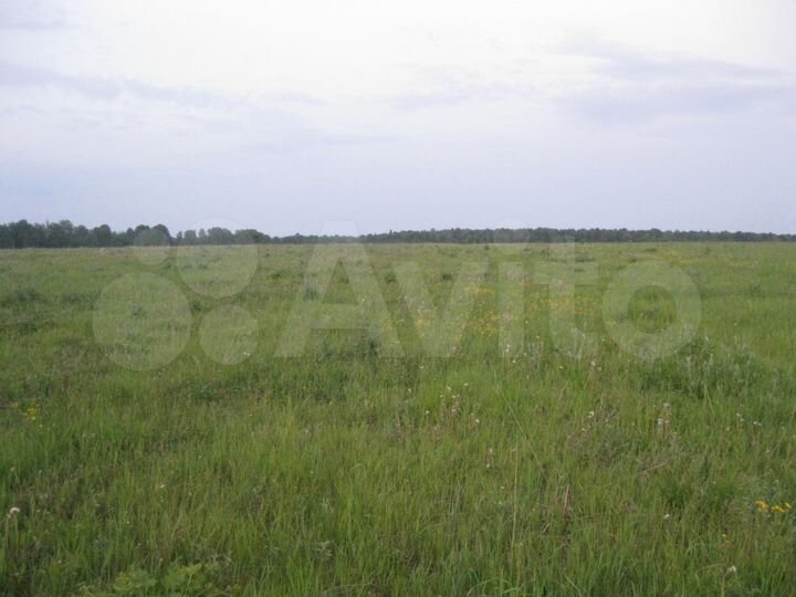 Участок 15 га (СНТ, ДНП)