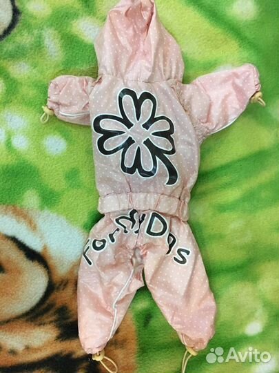 Вещи новые и б/у для мини той-терьера