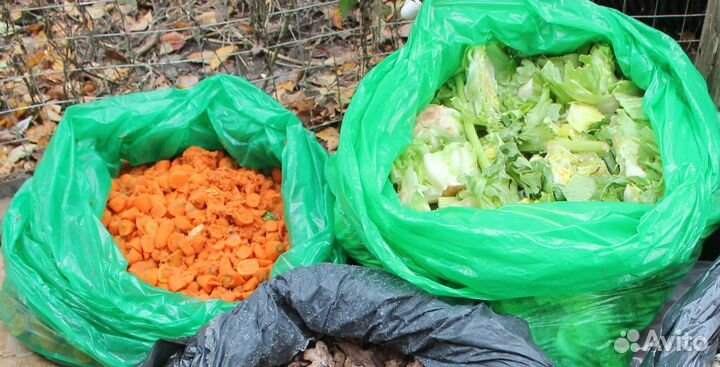 Овощи на корм животным